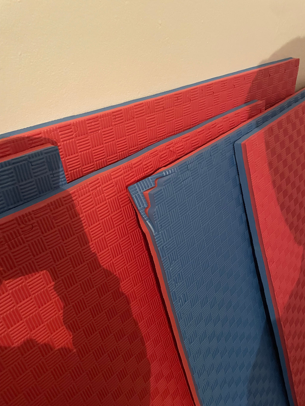Tatami schiuma EVA 100x100 altezza 3cm