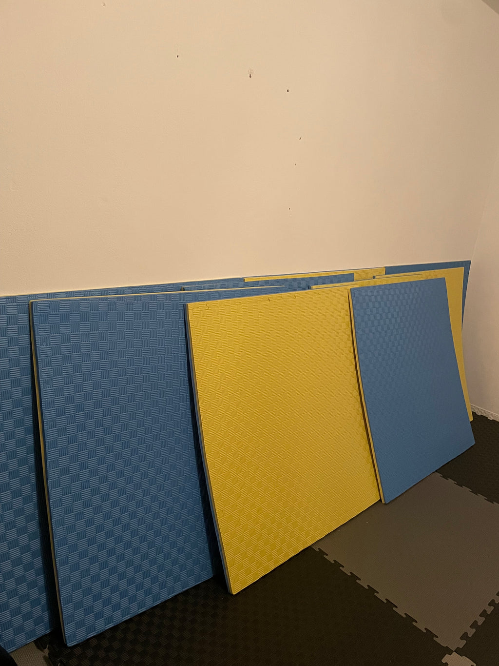 Tatami schiuma EVA 100 x 100 altezza 3cm